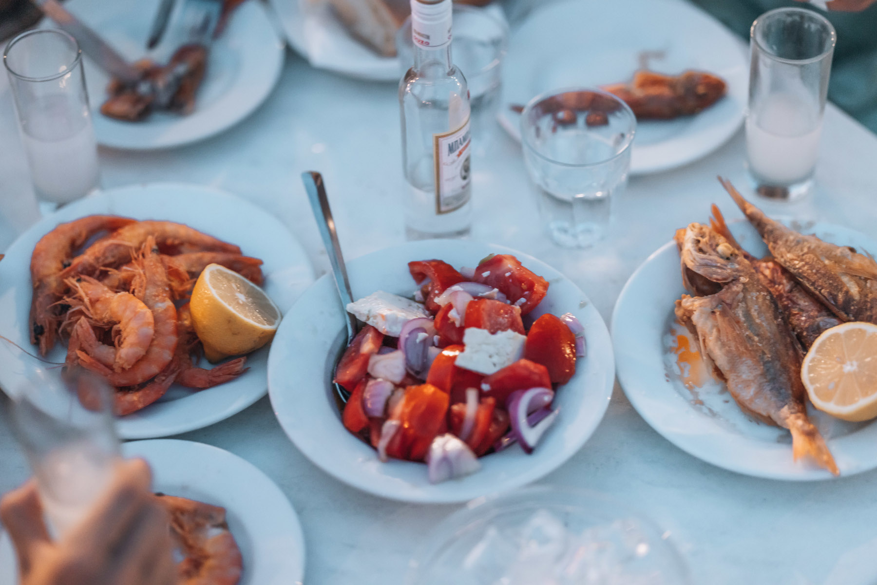 Gastronomia