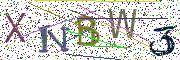 图形验证